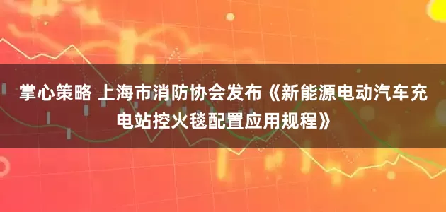 掌心策略 上海市消防协会发布《新能源电动汽车充电站控火毯配置应用规程》