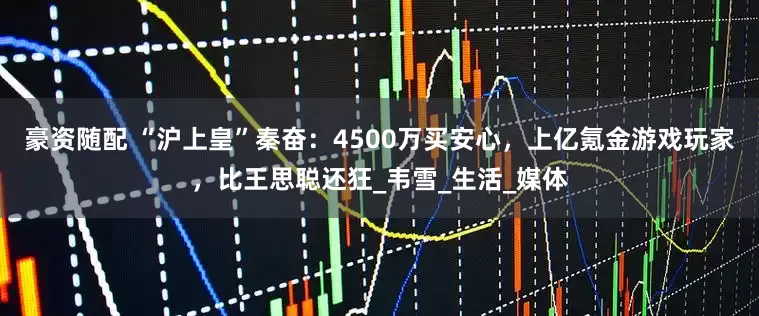 豪资随配 “沪上皇”秦奋：4500万买安心，上亿氪金游戏玩家，比王思聪还狂_韦雪_生活_媒体