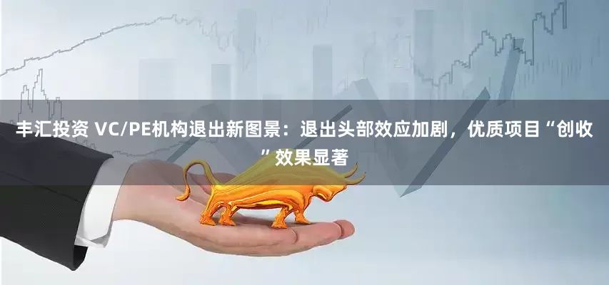 丰汇投资 VC/PE机构退出新图景：退出头部效应加剧，优质项目“创收”效果显著