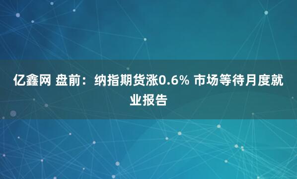 亿鑫网 盘前：纳指期货涨0.6% 市场等待月度就业报告